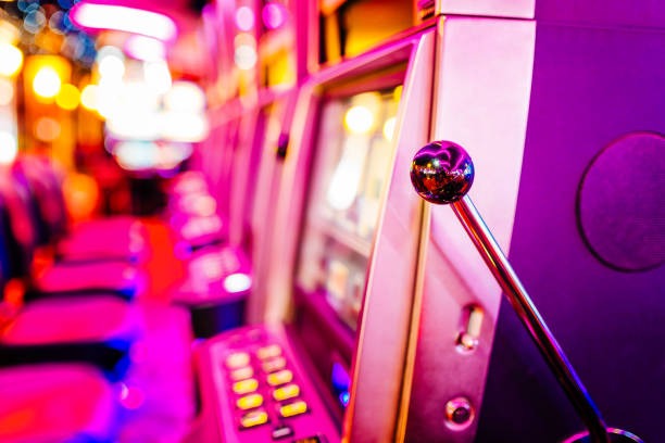 dpr toto app showing live blackjack table with multiple camera angles and Dragon Tiger game